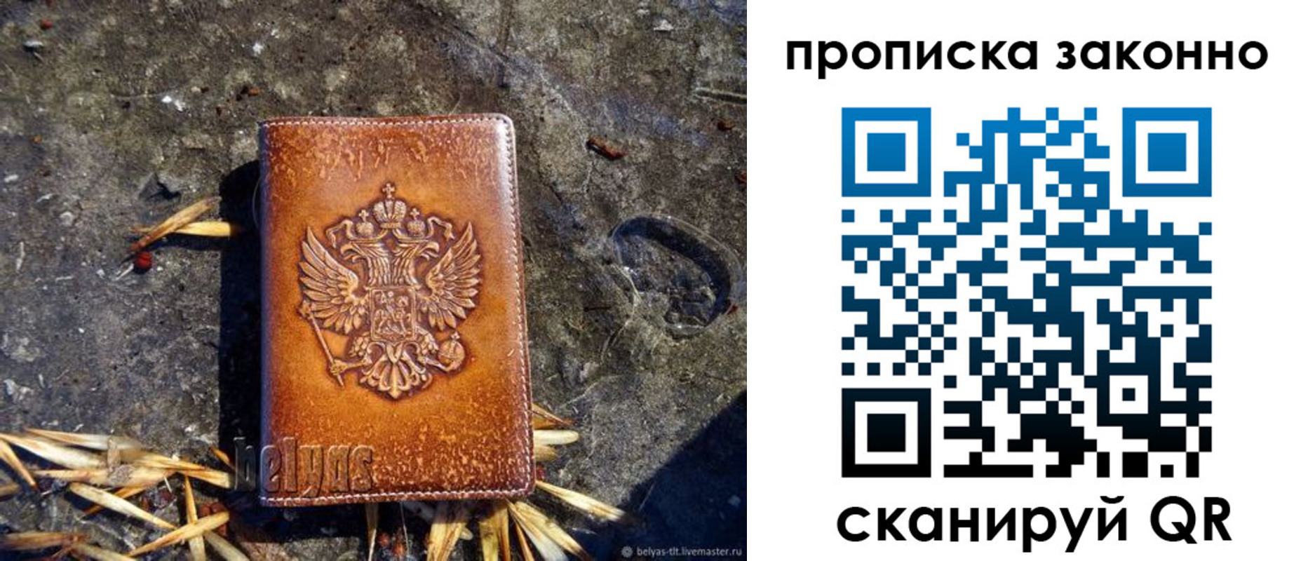 прописка паспорт в Полярных Зорях